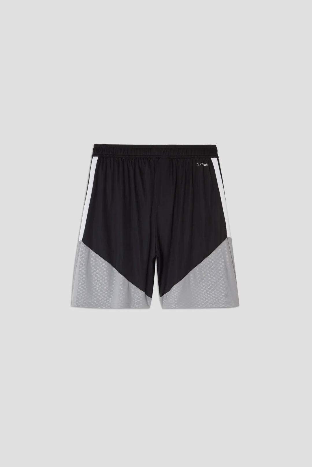 Training Shorts Pisa SC 26/27